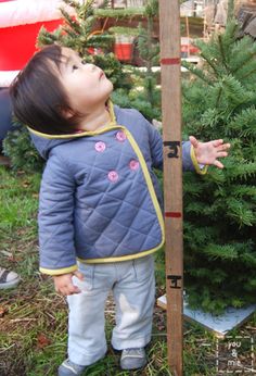 Mini Boden copycat q